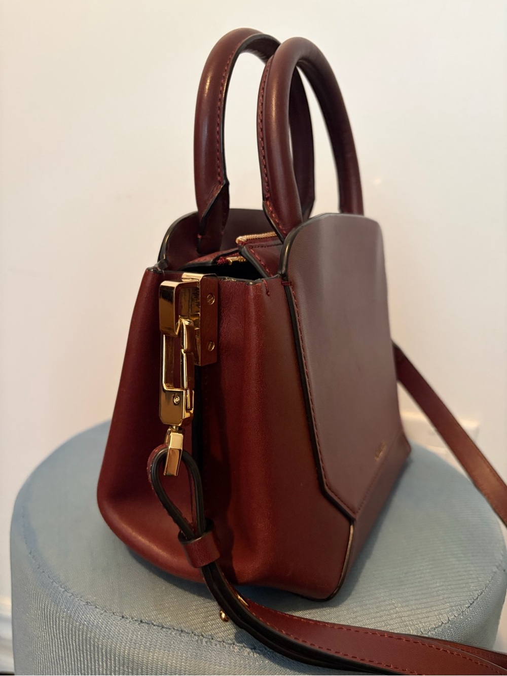 Aritzia Auxiliary Mini Bega Satchel - Picture 7 of 13